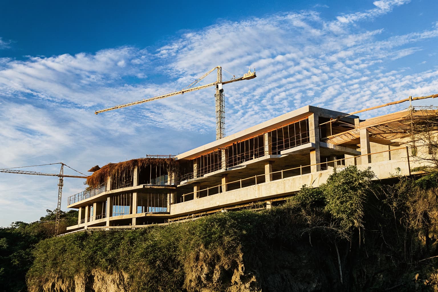 The Roya Dreamland Transformation