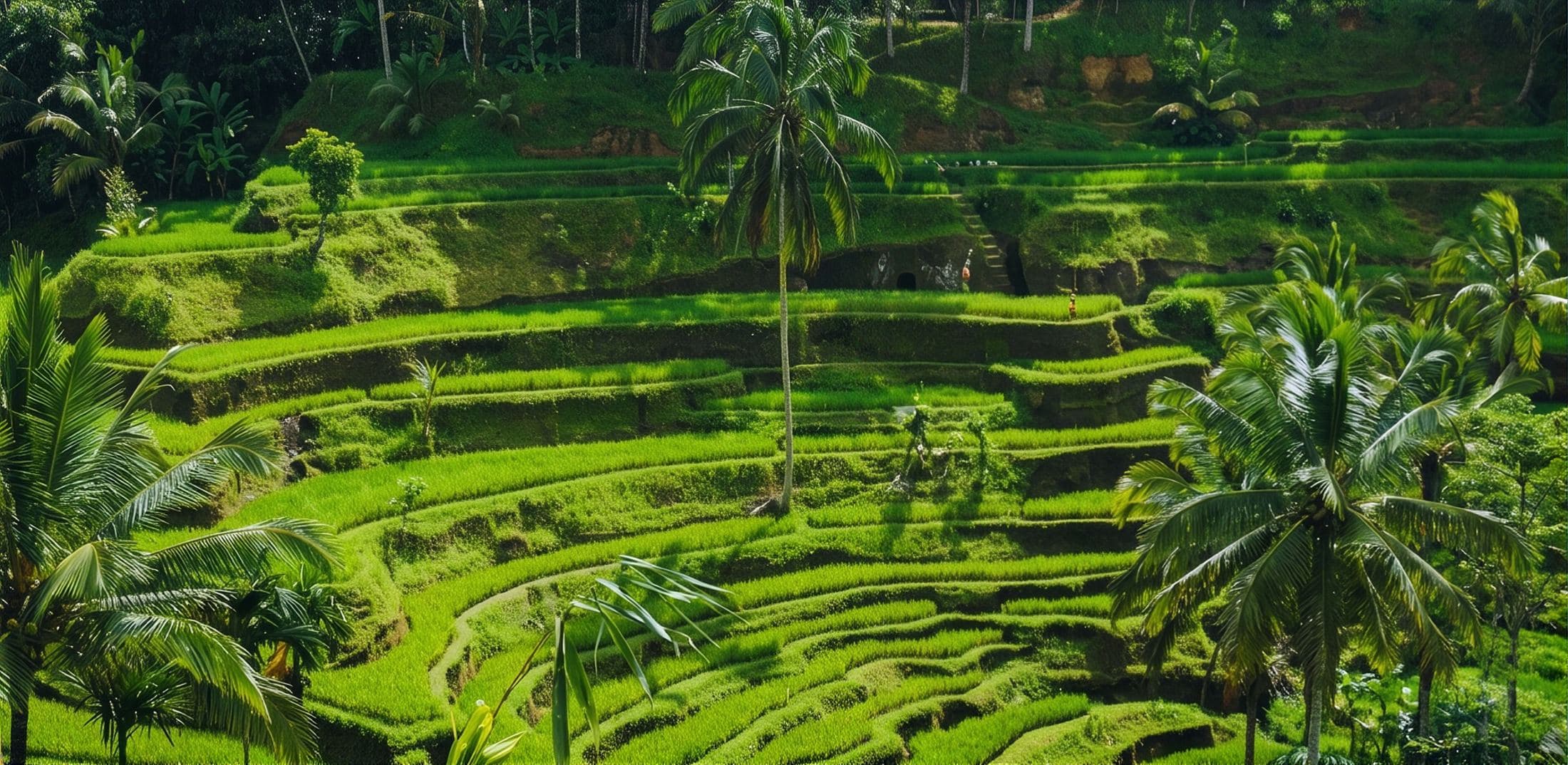 The project site
